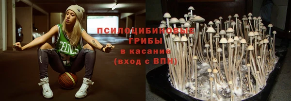 сатива Алзамай