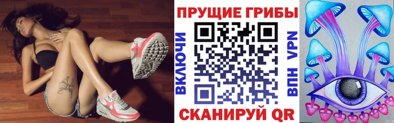 omg tor  где можно купить   Елизово  Псилоцибиновые грибы GOLDEN TEACHER 
