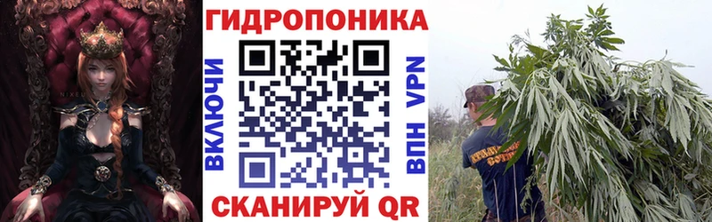 Каннабис Amnesia закладка Елизово